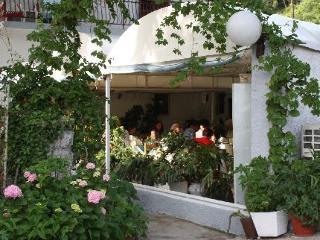 Bed and Breakfast pansion mimoza Herceg Novi Exterior foto